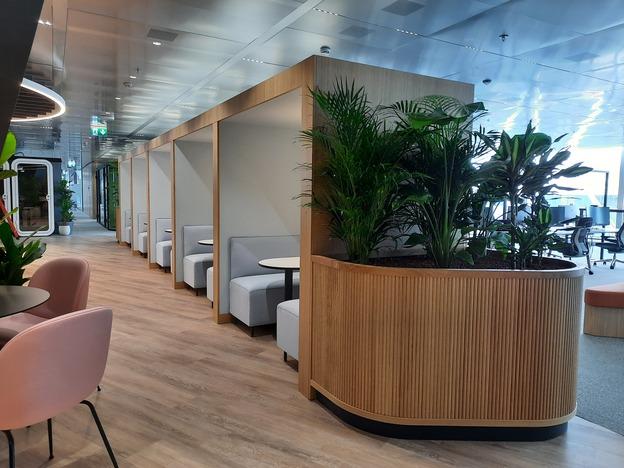 Moderne Bürolandschaft mit Holz-Elementen, Pflanzen und gemütlichen Sitznischen entlang eines hellen Flurs.